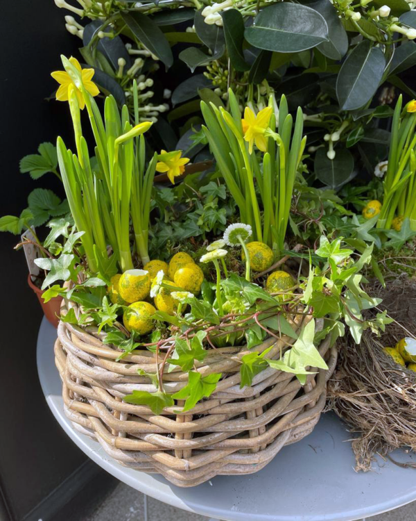 Spring Planted Basket